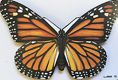 Monarch Butterfly Magnet QM808