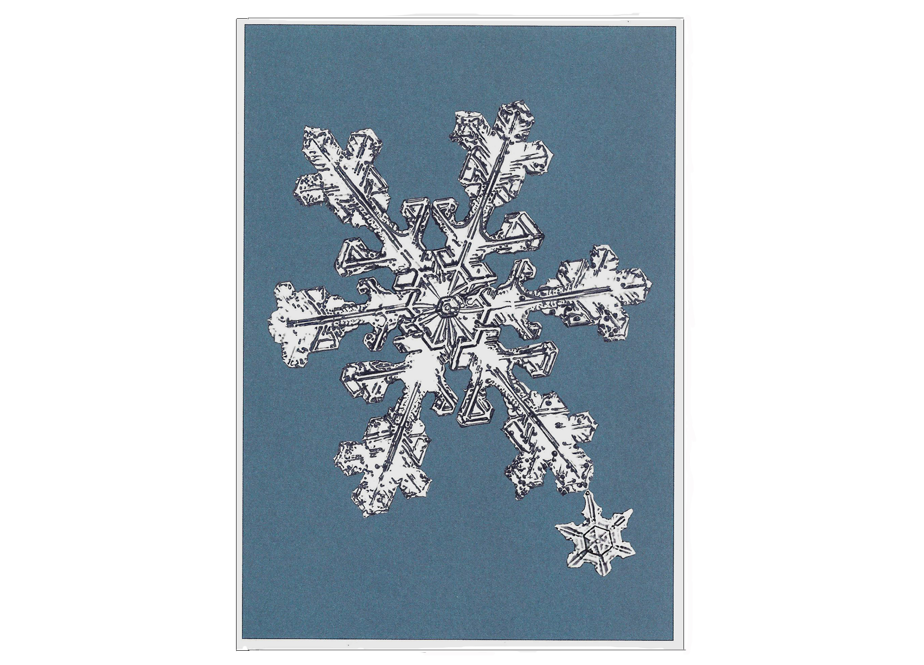 Easykart 500 Winter Snowflake Stickers in Roll, Blue with Gold