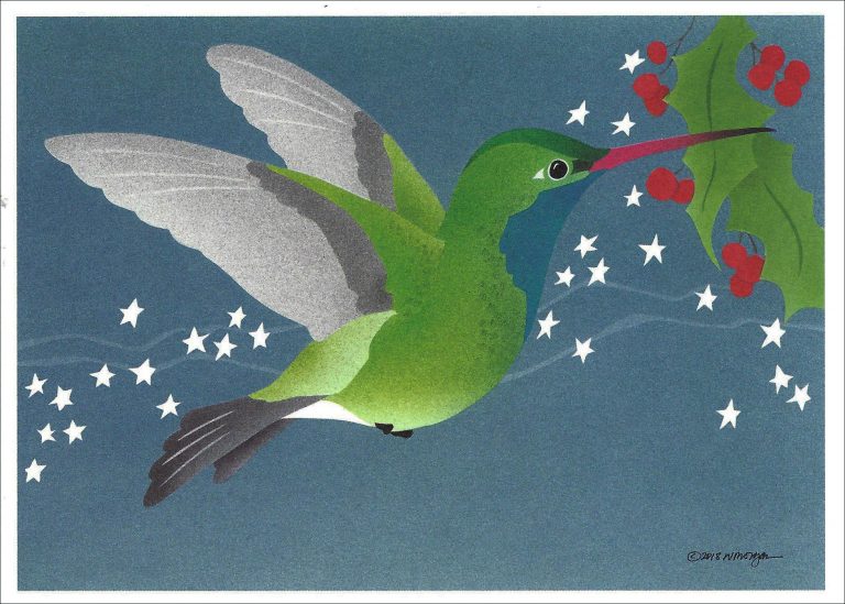 Hummingbird Stars Holiday Card Hc233 Crane Creek Graphics