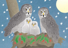 Great Gray Owls Holiday Card