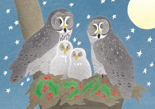 Great Gray Owls Holiday Card