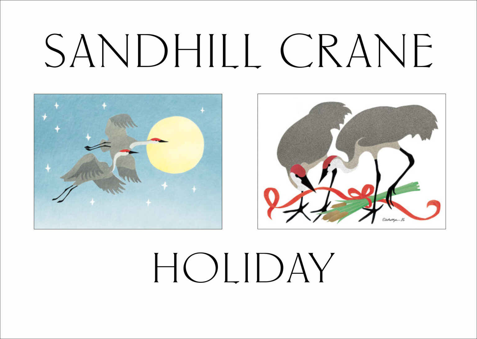 Sandhill Crane Holiday Card Assortment HBSC Crane Creek Graphics
