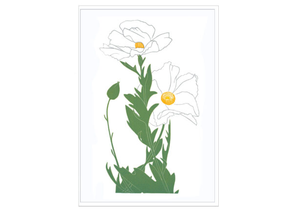 Matilija Poppy Notecard EN7002