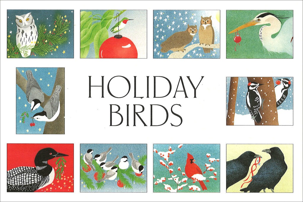 HBB Holiday Birds Assortment Box