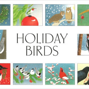 HBB Holiday Birds Assortment Box