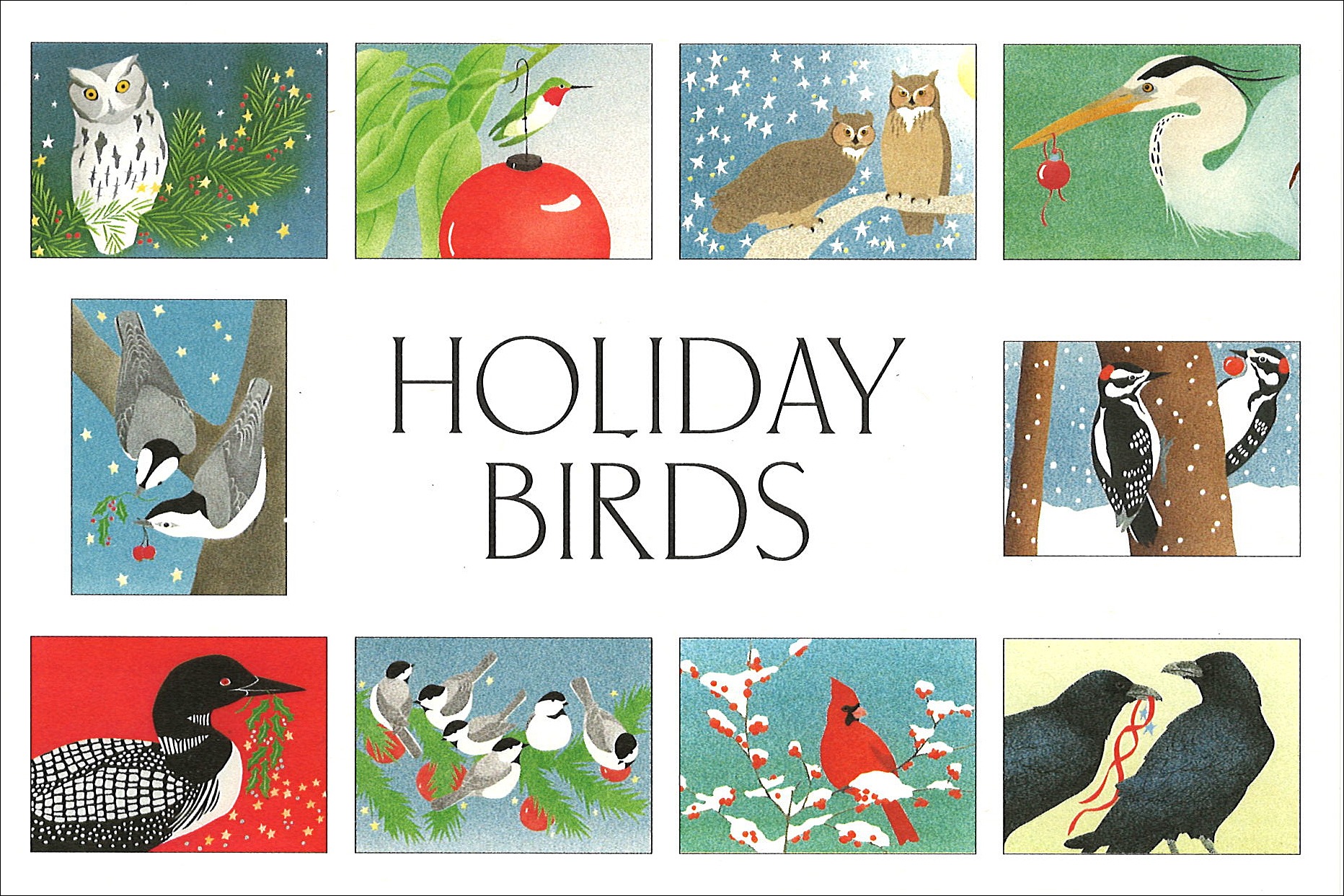 HBB Holiday Birds Assortment Box