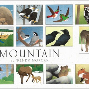 NBMT12 Mountain Assortment Box