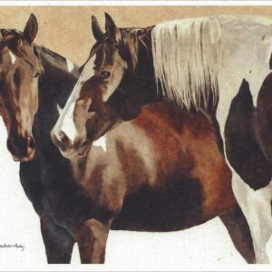 NV928 Companions Glow - Horses Notecard