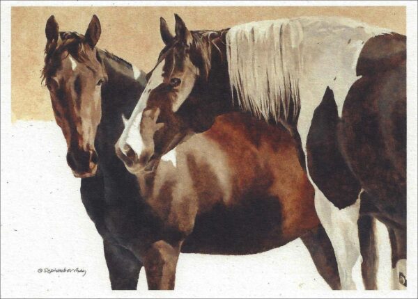 NV928 Companions Glow - Horses Notecard