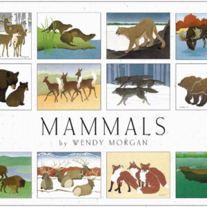 NBMA12 Mammals Assortment Box