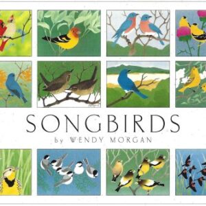 NBSB12 Songbirds Assortment Box