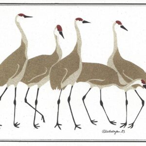 NC008 Sandhill Cranes