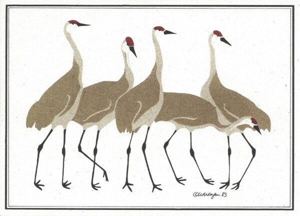 NC008 Sandhill Cranes