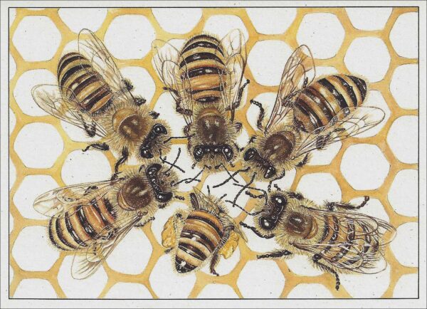 AN832 Honeybees Notecard
