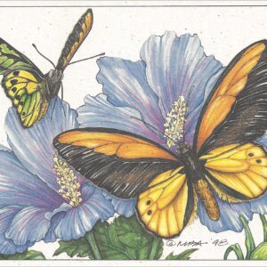 AN855 Fiery Birdwing on Blue Hybiscus