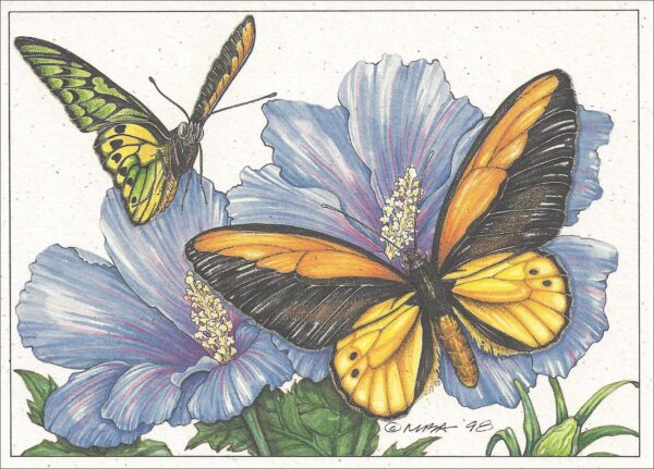 AN855 Fiery Birdwing on Blue Hybiscus
