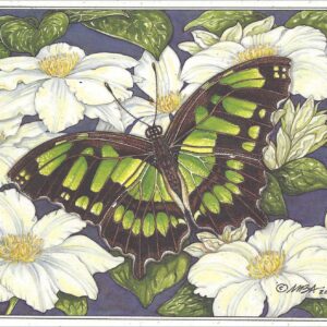 AN869 Malachite Butterfly Notecard