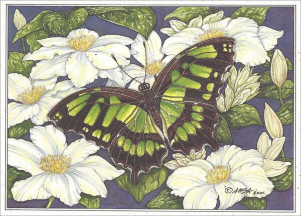 AN869 Malachite Butterfly Notecard