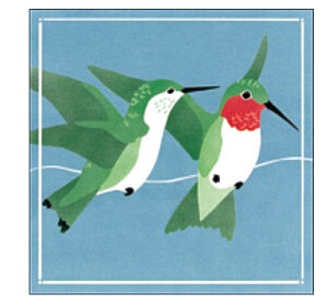 CP170 Ruby-throated Hummingbirds Coaster Pack
