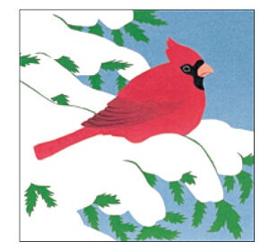 CP187 Cardinal - Coaster Pack