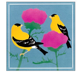 CP206 Goldfinches Coaster