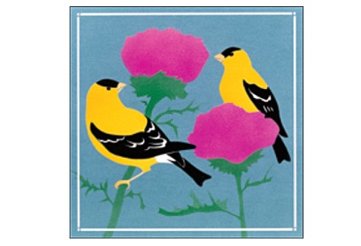 CP206 Goldfinches Coaster