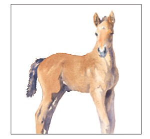 CP948 Gannett -Horse Coaster Pack