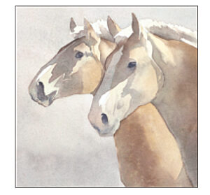 CP956 Belgian Mares - Horse Coaster Pack