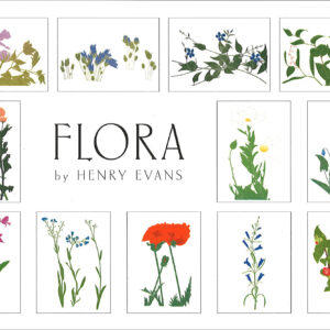 EBF12 Flora Assortment Box