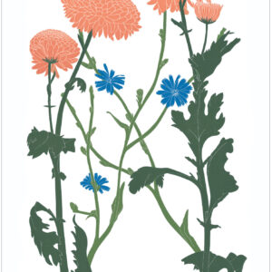 EN7001 Chyanthemum and Chicory Notecard