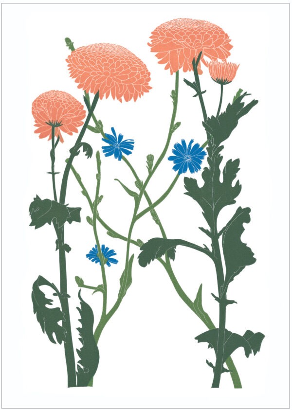 EN7001 Chyanthemum and Chicory Notecard