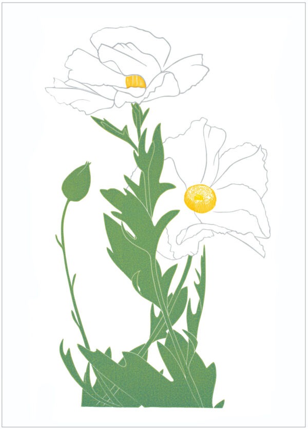 EN7002 Matilija Poppies Notecard