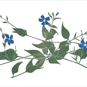 EN7004 Periwinkle Notecard