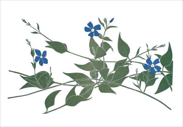 EN7004 Periwinkle Notecard