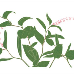 EN7006 Salal Notecard