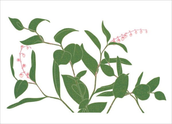EN7006 Salal Notecard
