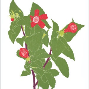 EN 7008 Hibiscus Notecard