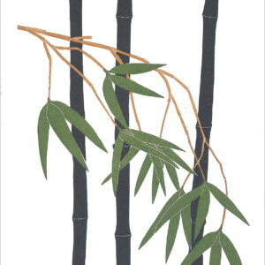 EN701 Black Bamboo Notecard