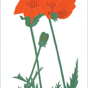 EN7011 Oriental Poppy Notecard
