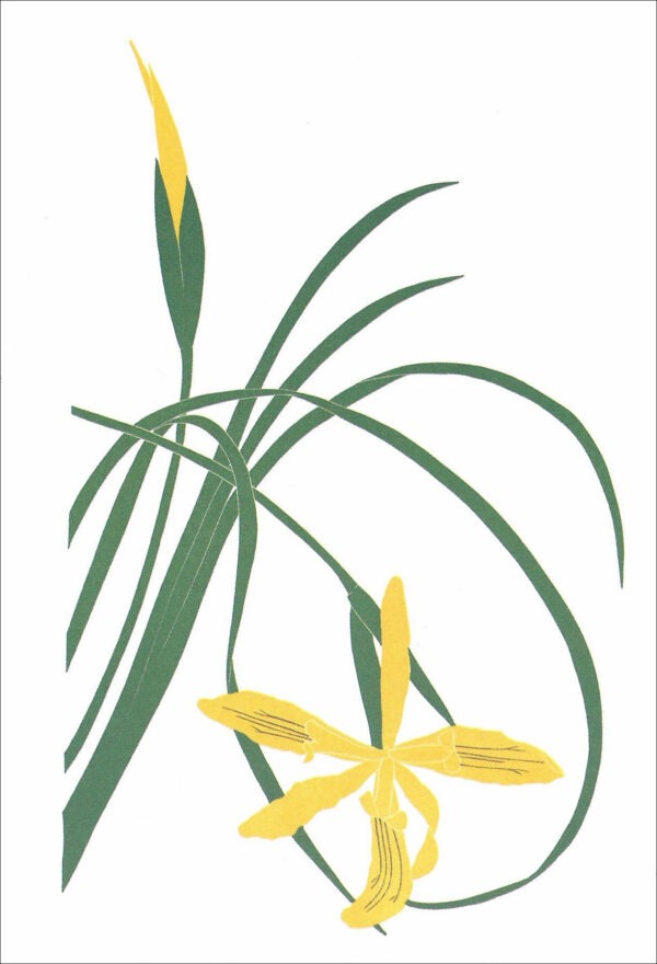 EN702 Yellow Iris Notecard