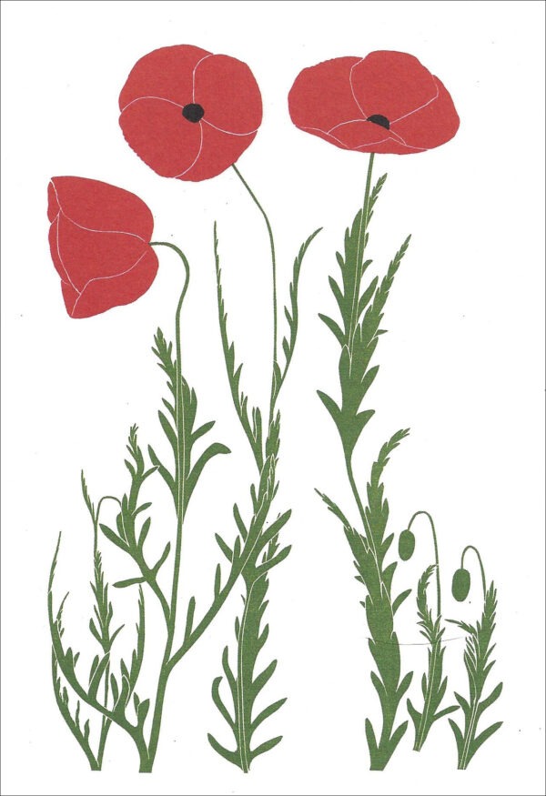 EN706 Flanders Poppies Notecard
