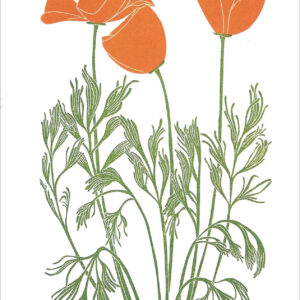 EN708 California Poppies Notecard