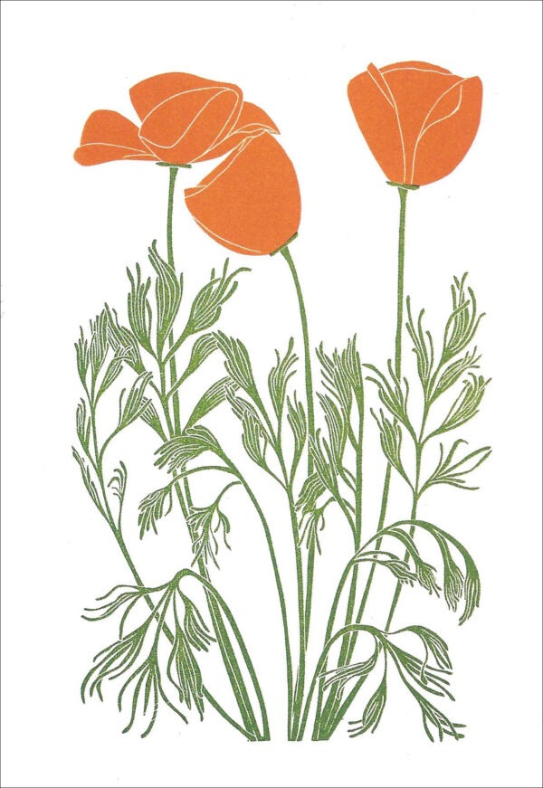 EN708 California Poppies Notecard