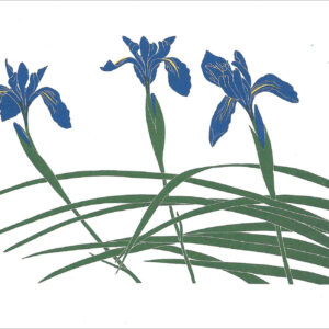 EN709 Wild Iris Notecard