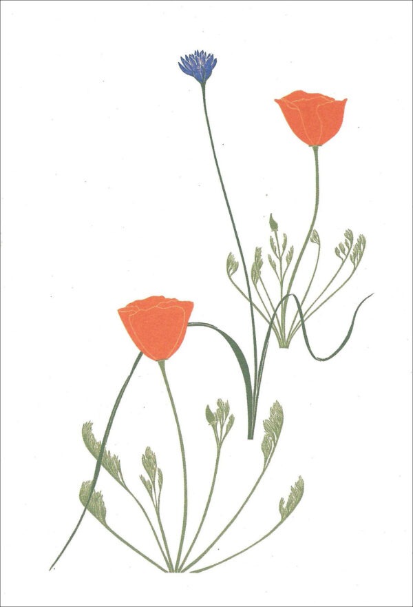 EN711 Poppies Brodiaea Notecard