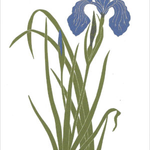 EN712 Douglas Iris Notecard