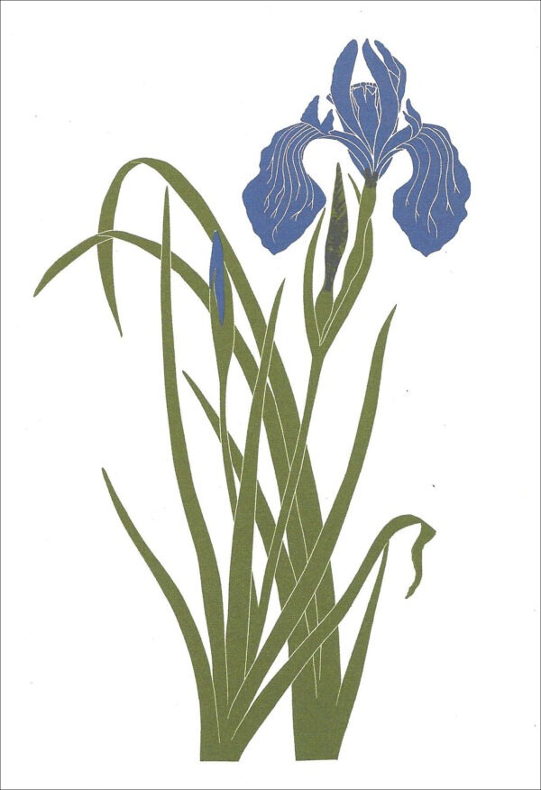 EN712 Douglas Iris Notecard