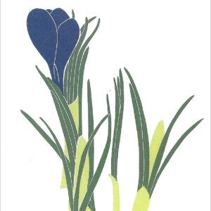 EN717 Crocus Notecard