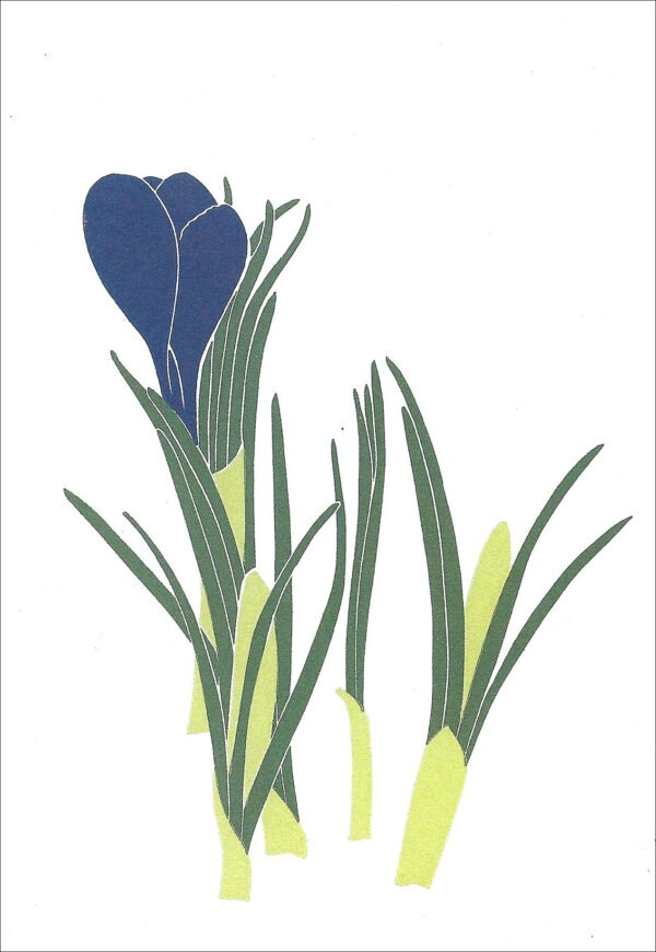 EN717 Crocus Notecard