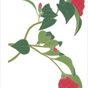 EN718 Camelia Notecard